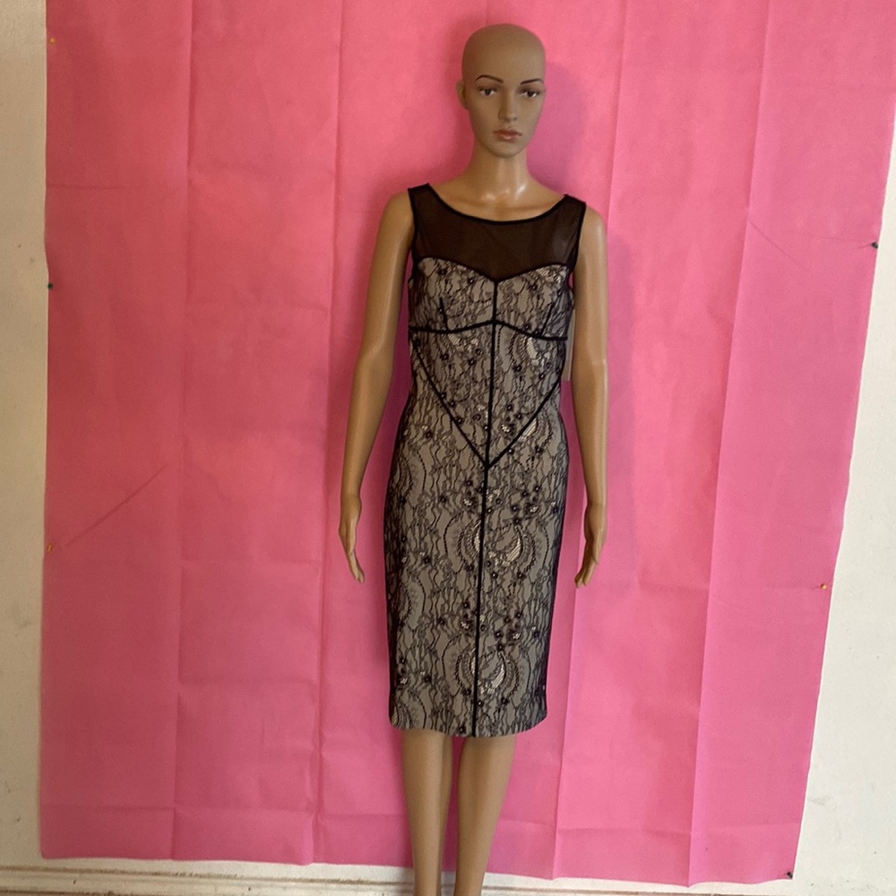 Halton heritage sleeveless sheer top ara lace floral design size 2